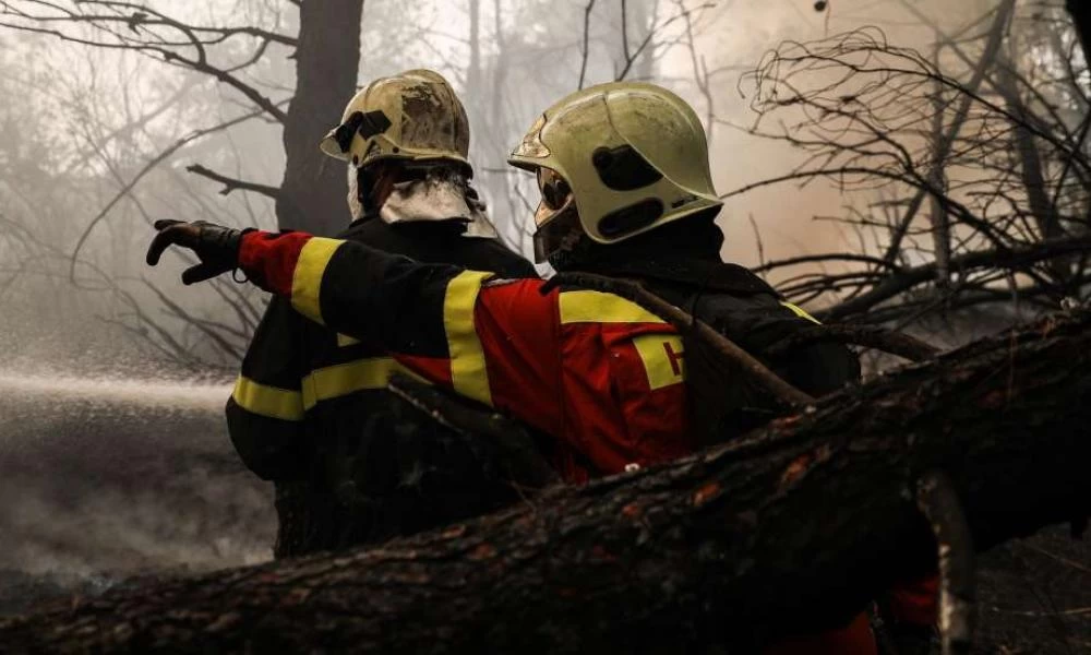 ΗΠΑ: Ξεκινά η εκπαίδευση των πρώτων Ελλήνων ''δασοκομάντος''